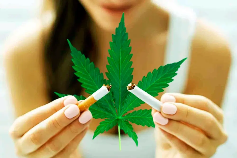 Can You Mix CBD And Nicotine?