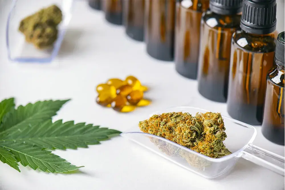 How to Select Your CBD Oil