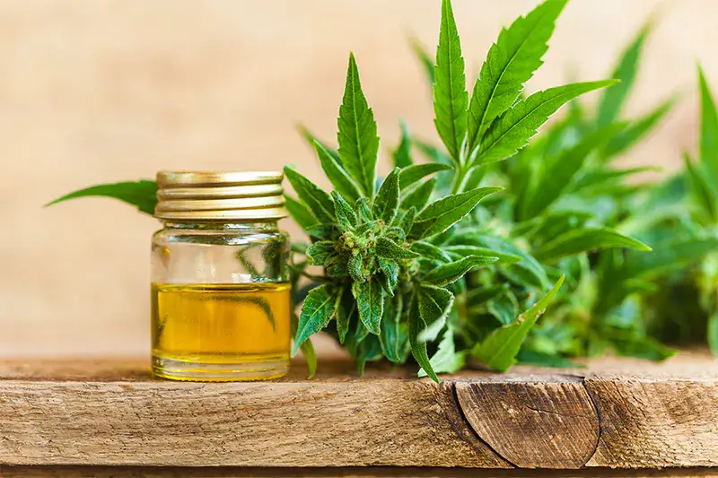 Should You Vape CBD Oil?