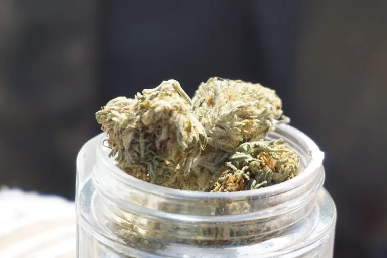 Where Can I Buy CBD Flowers Legally in London