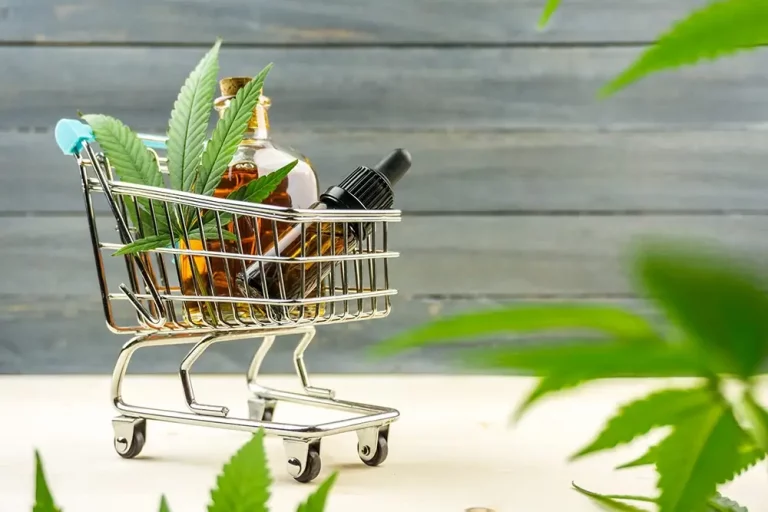 A Beginner's Guide to Cooking With CBD