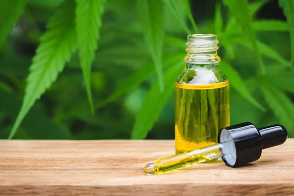 The Major Benefits of CBD Oil