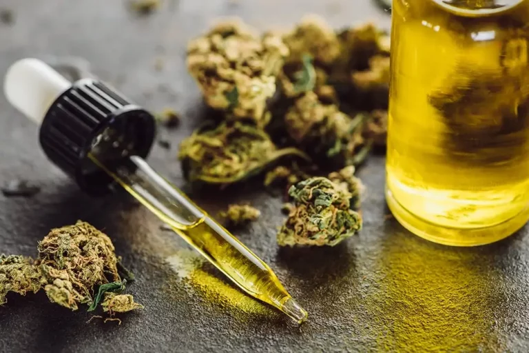 Understanding the Hemp Side of CBD