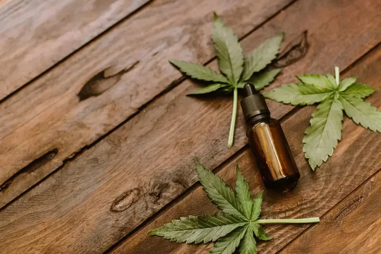 Best Brands to Try For Cannabidiol