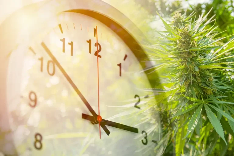 How Long Does CBD Last in the Body?