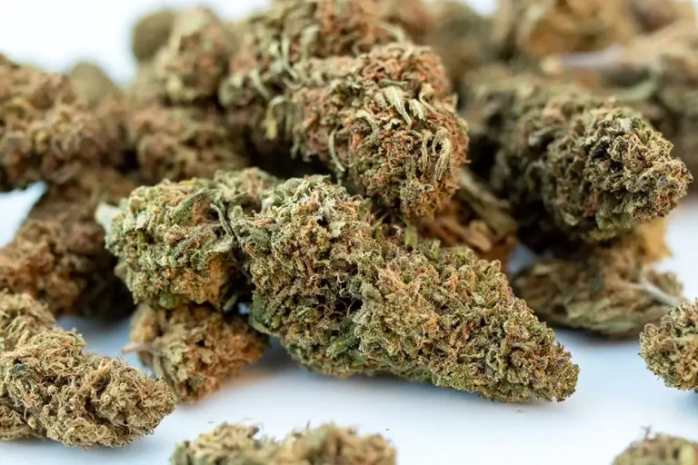 Understanding what CBD Hemp Flower Is