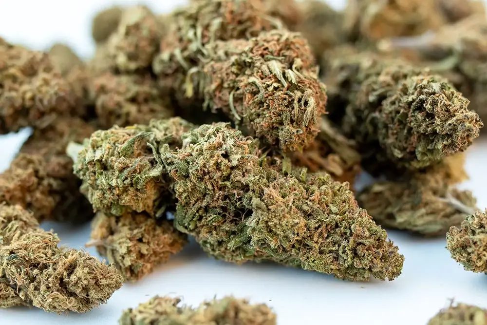 Understanding what CBD Hemp Flower Is